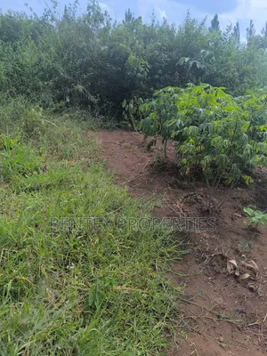 120 Acres for Sale in Nakaseke Kalagala Each Acre at 9m