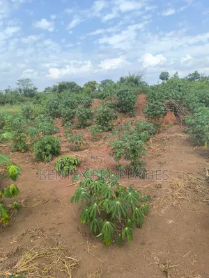 Fertile 54bacres for Sale in Kakooge Luweero Each at 9m