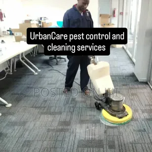 Interior Carpet Cleaning Service