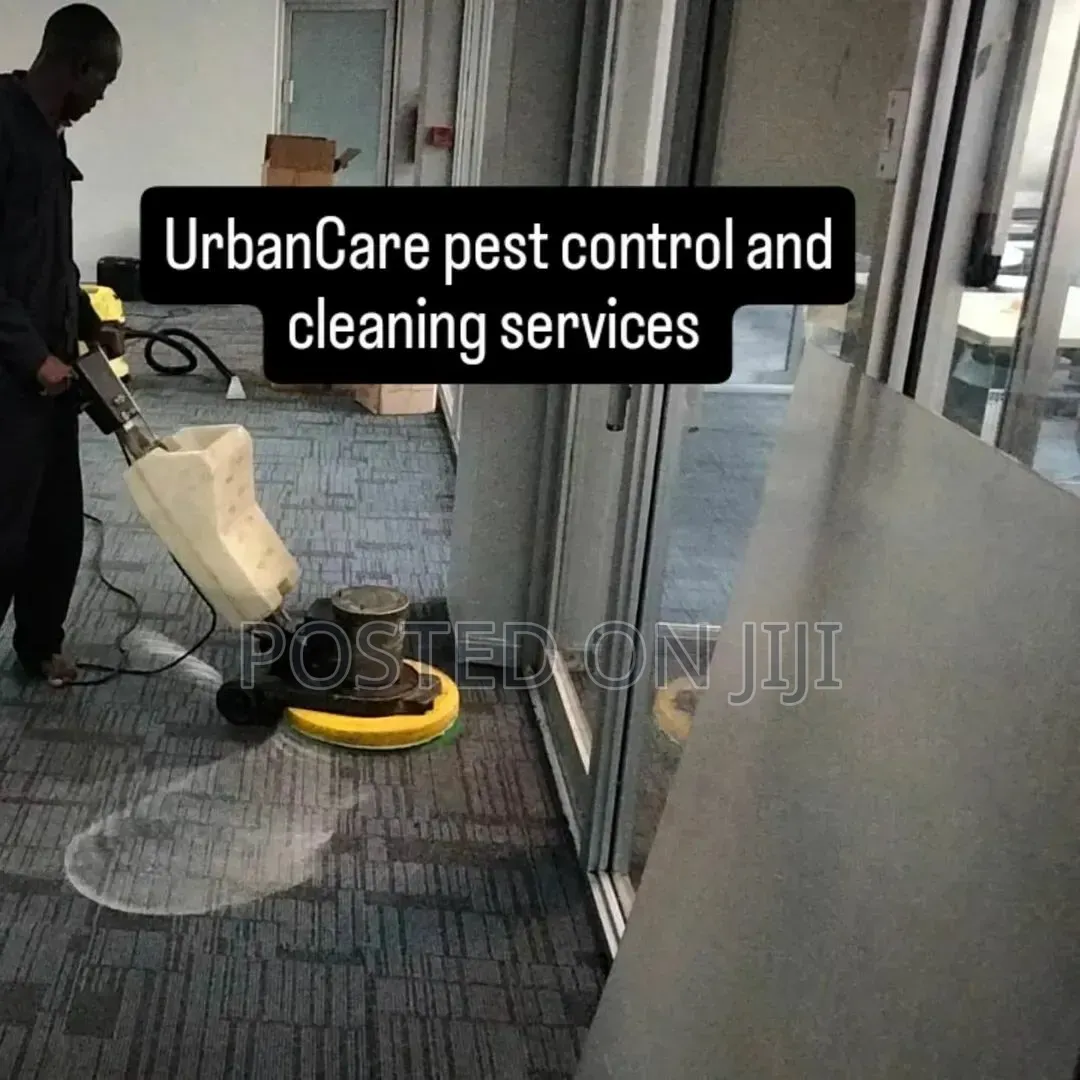 Interior Carpet Cleaning Service