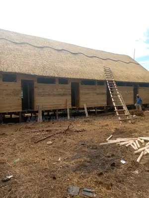 Thatched House Construction