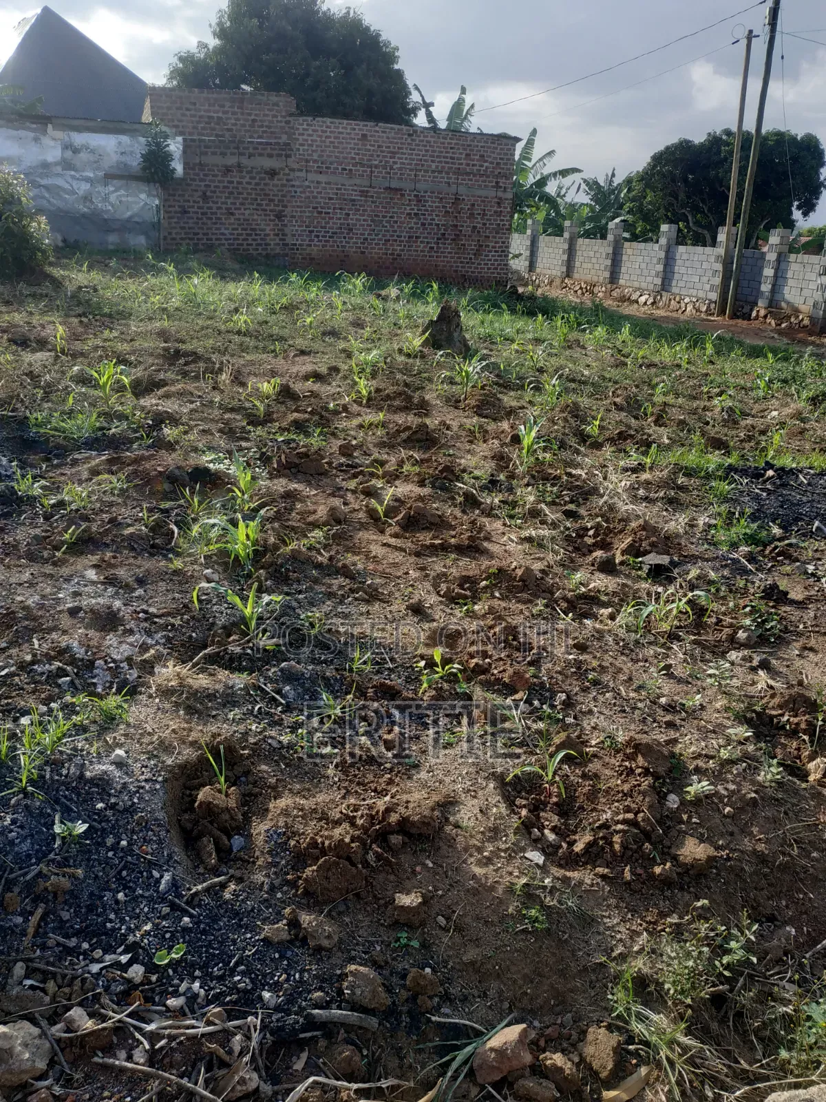 Plot for Sale