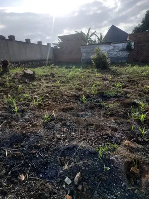 Plot for Sale