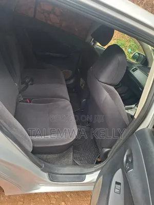 Toyota Corolla Fielder 2010 Silver