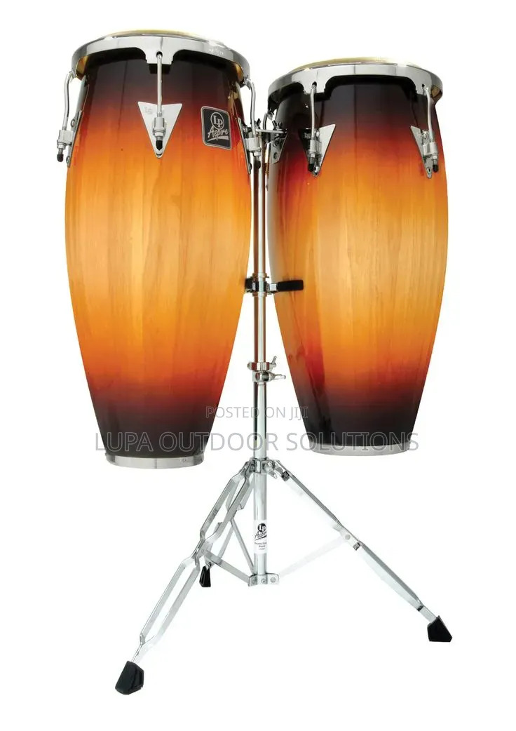 Conga Drums for Your Musical Band