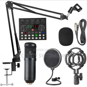 Proffessional Sound Recording Microphone Kit With Sound Card