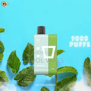 Elf Bar Pw9000 Pod System Vape