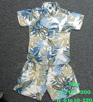 Beach Boys Outfits