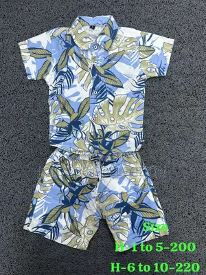 Beach Boys Outfits