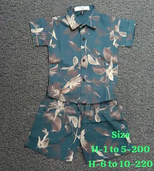 Beach Boys Outfits