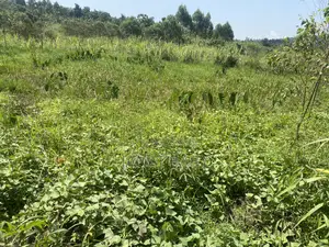 Land in Kigogwa Migade for Sale