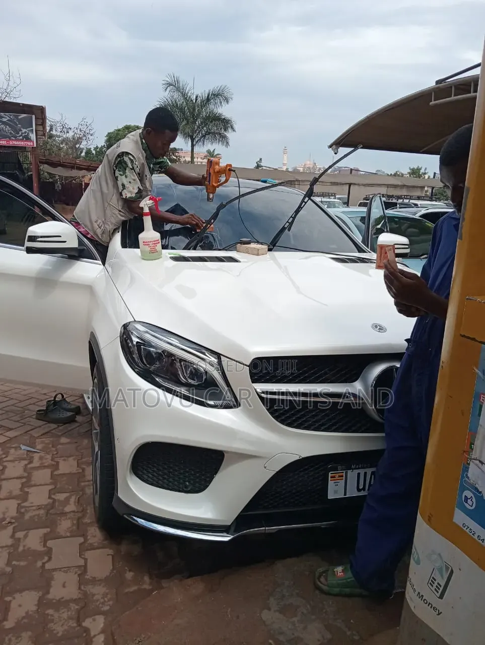 Denis Car Privacy Tints