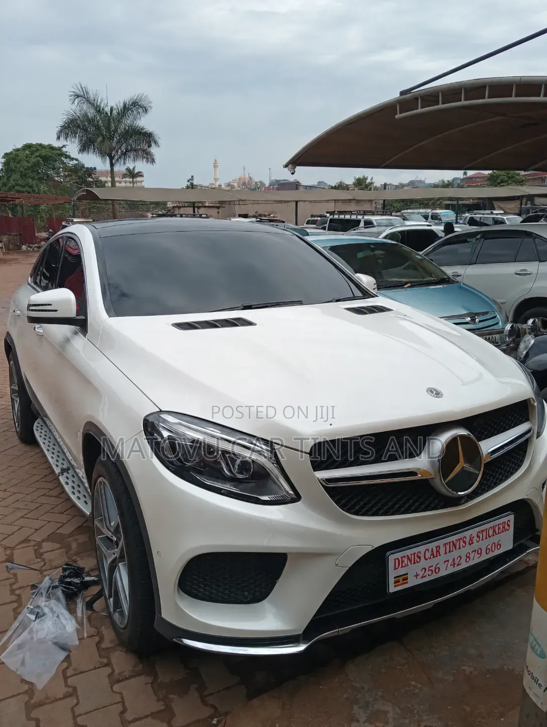 Denis Car Privacy Tints