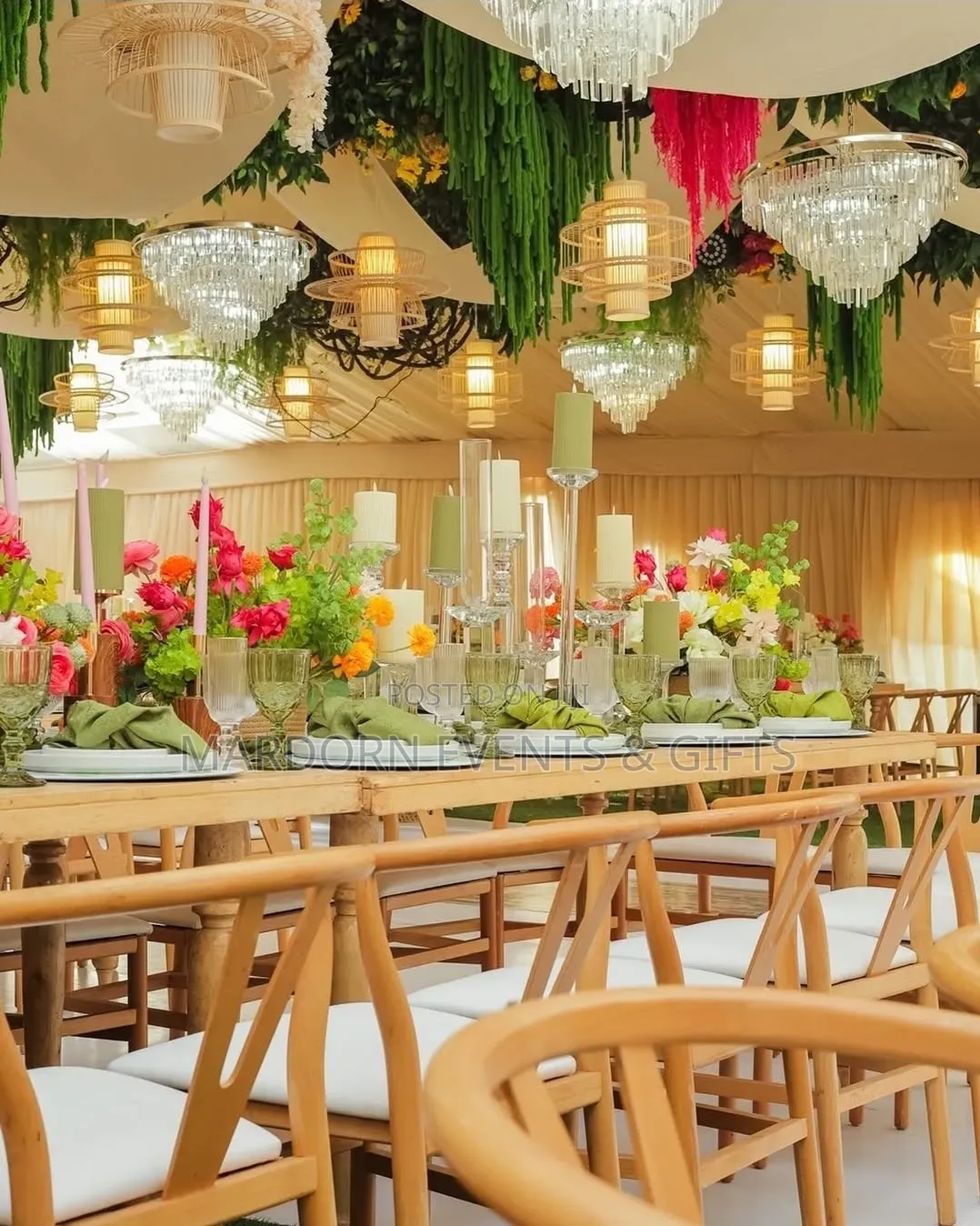 Vanessa's Tropical and Rustic Introduction