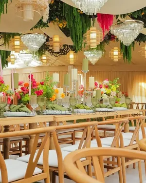 Vanessa's Tropical and Rustic Introduction