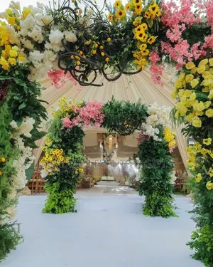 Vanessa's Tropical and Rustic Introduction