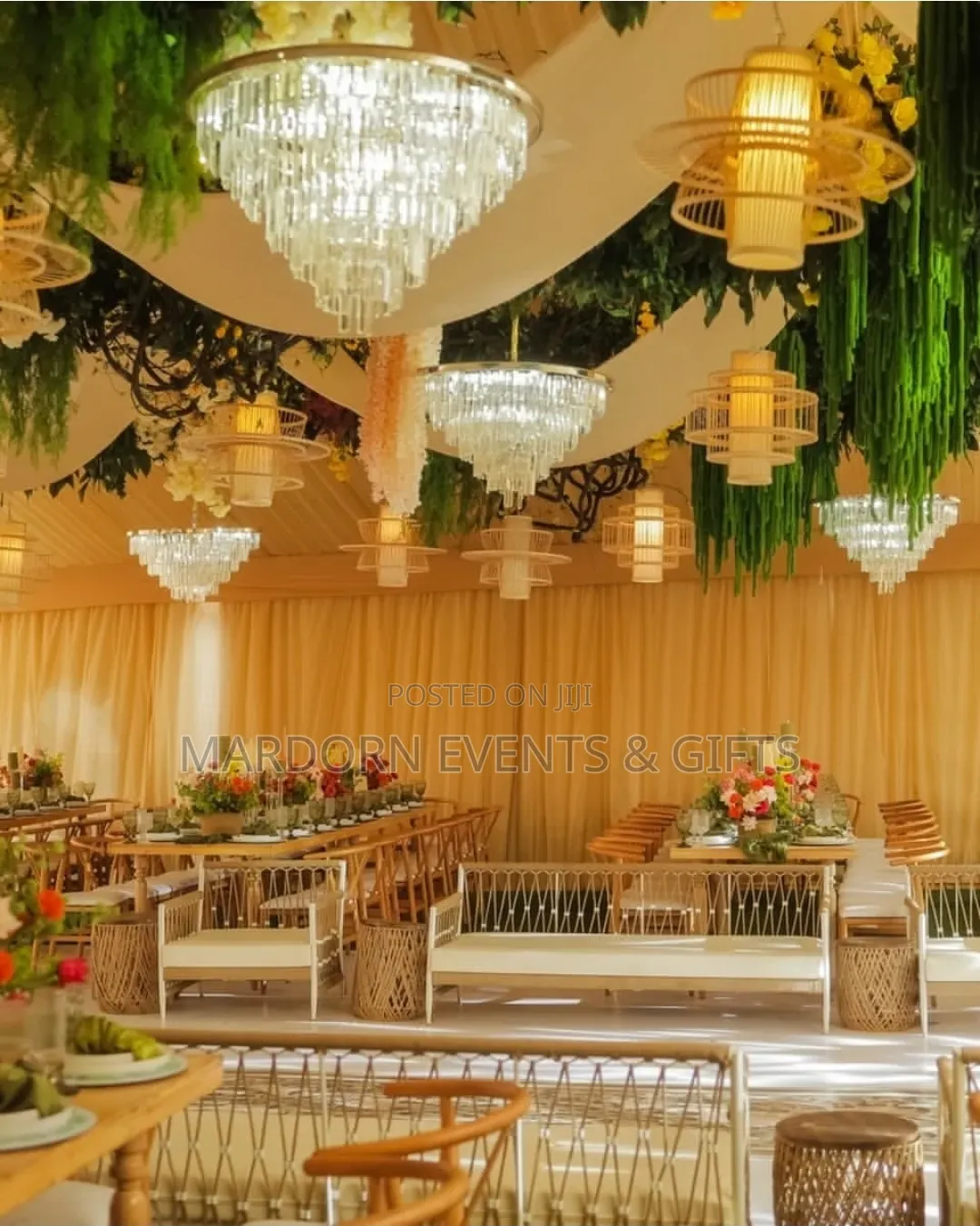 Vanessa's Tropical and Rustic Introduction