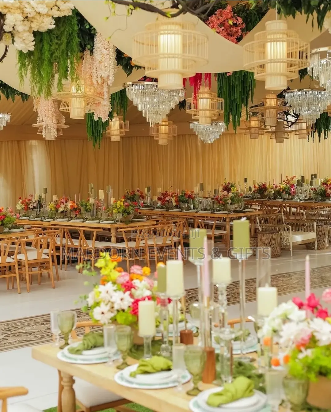 Vanessa's Tropical and Rustic Introduction