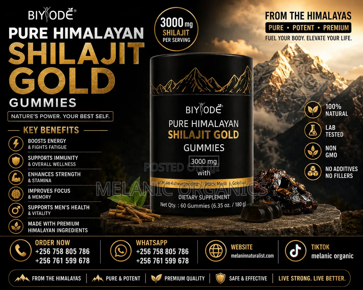 Shilajit Gold (60 Gummies) 