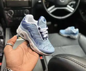 Nike Air Max Plus Blue
