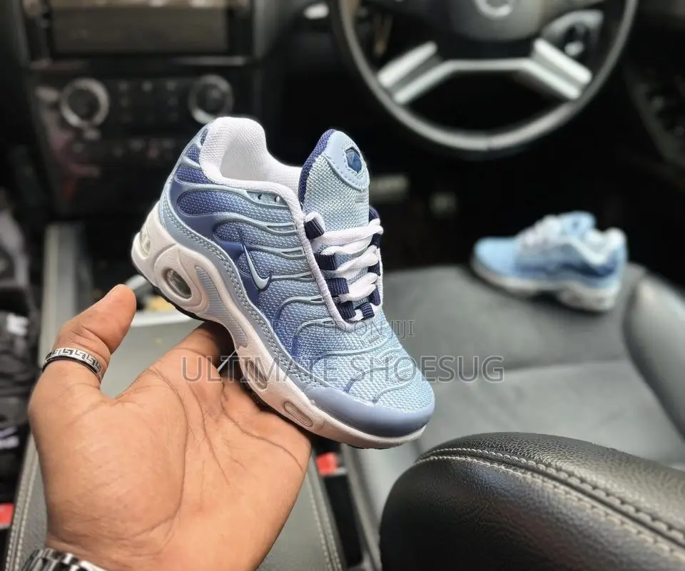 Nike Air Max Plus Blue