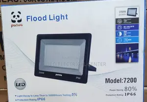100w Flood Light