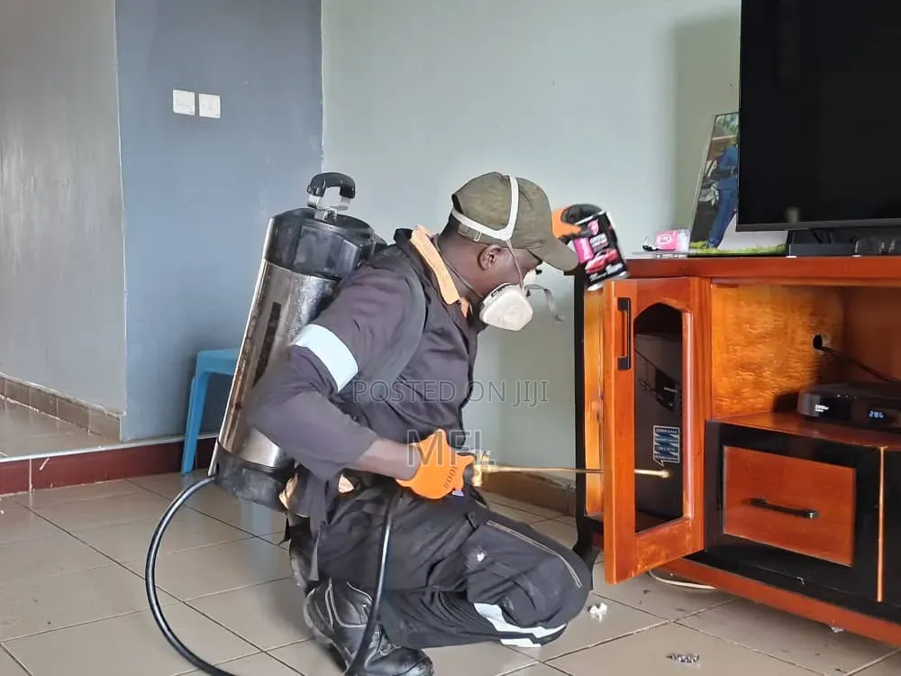 Fumigation in Kololo