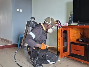 Fumigation in Kololo