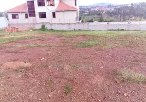 Real Estate Agent