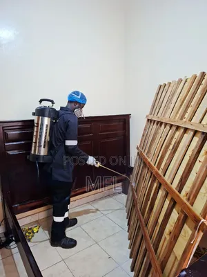 Bedbug Fumigation