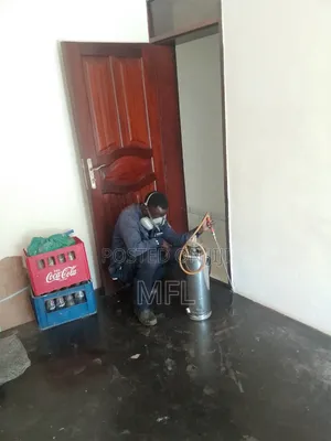 Fumigation in Najjera