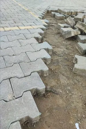Expert Paving Services