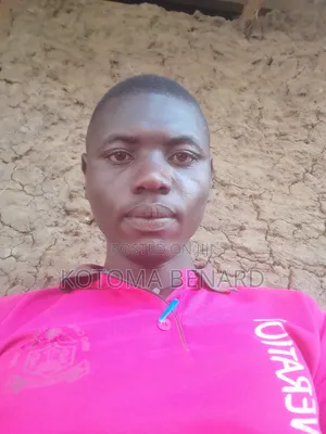 Sales Agent