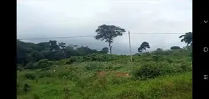 1.5 Acres of Land With Title at Bugoma Kalangala
