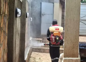 Commercial Fumigation in Kampala