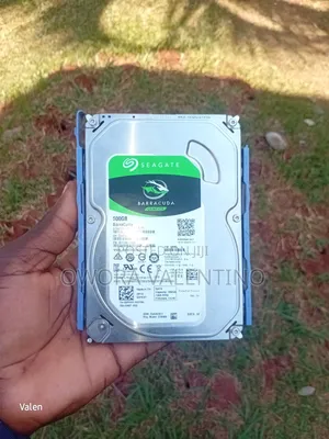 Internal Hard Disk 500gb