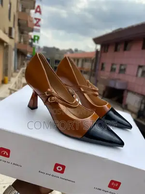 Pointed Heel With Two Colors for Classic Ladies