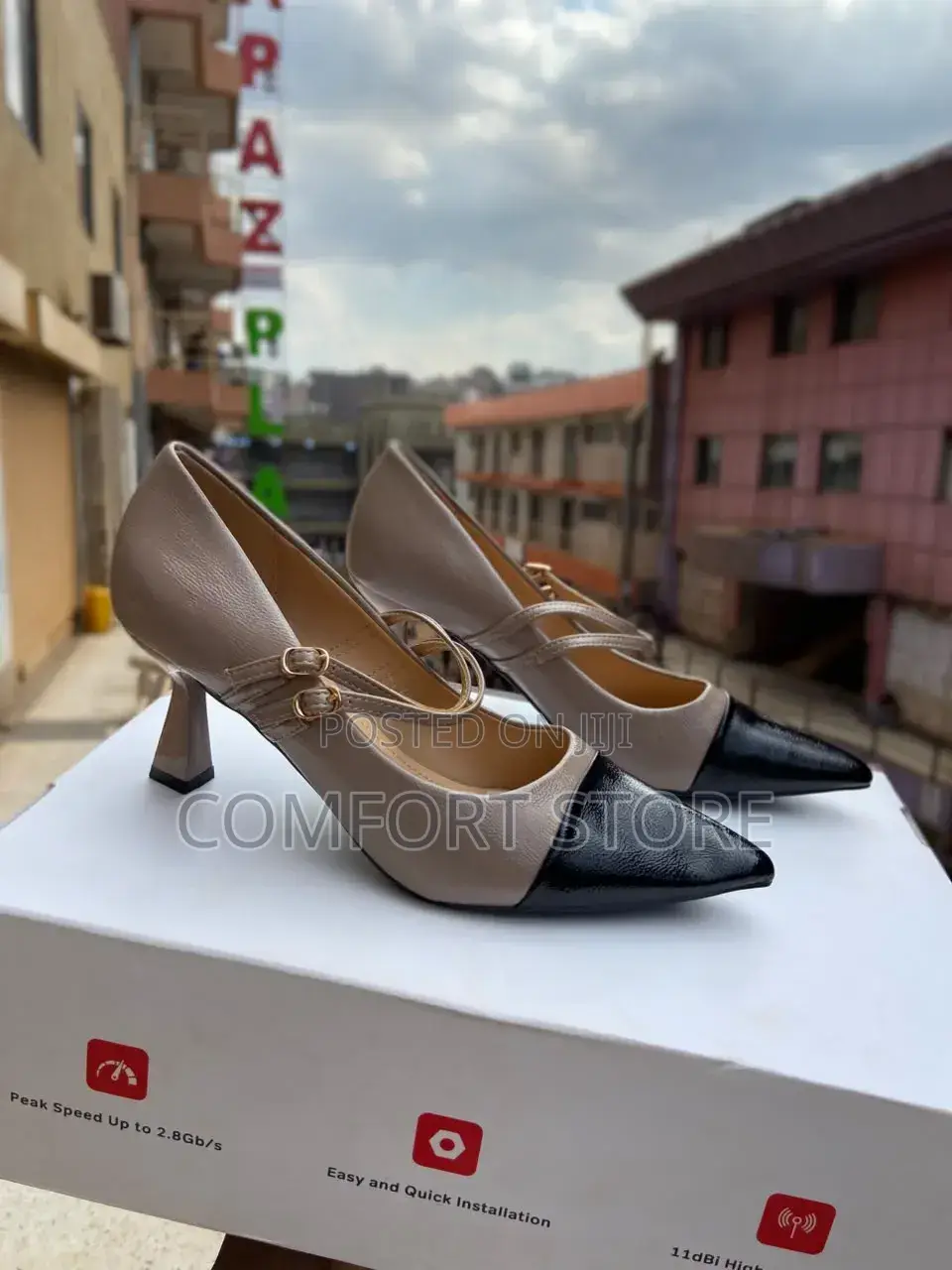 Pointed Heel With Two Colors for Classic Ladies