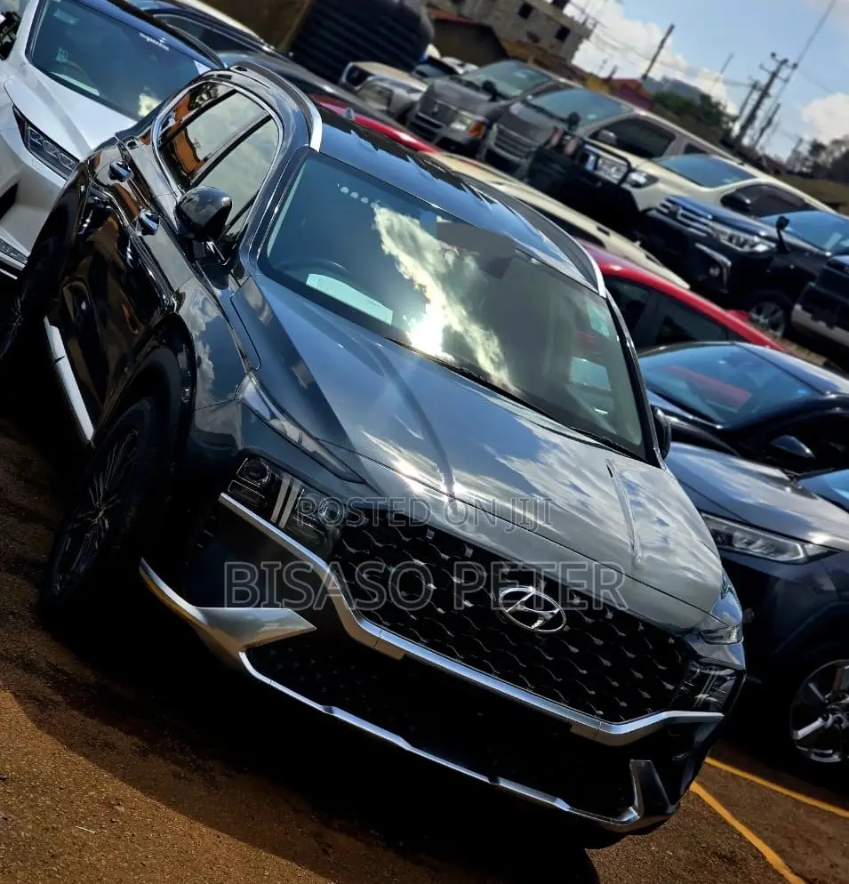 Hyundai Santa Fe 2022 Gray