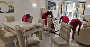 Sofa Set Cleaning Services