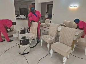 Sofa Set Cleaning Services