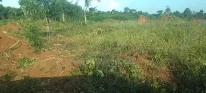 Half an Acre Titled at 9.8m in Gomba Kabulasoke 2km FRM Tarmac