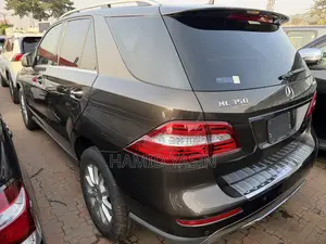 Mercedes-Benz M Class 2014 Brown