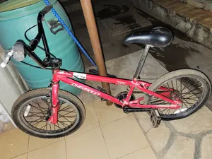 DMX Bicycle