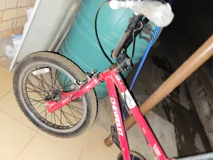 DMX Bicycle
