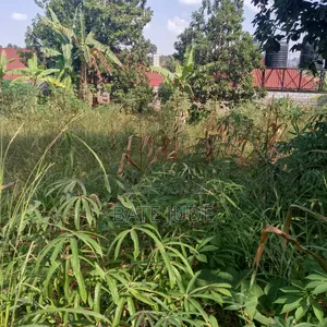 Plot of Land With Freehold Title for Sale in Seguku