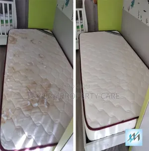 Premium Mattress Pillow Steam Sanitization