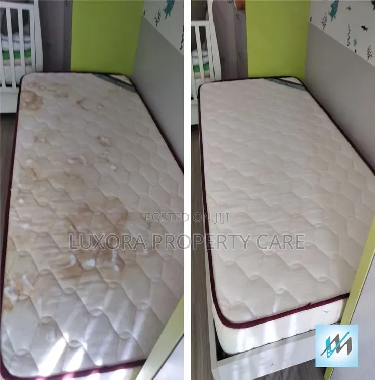 Premium Mattress Pillow Steam Sanitization