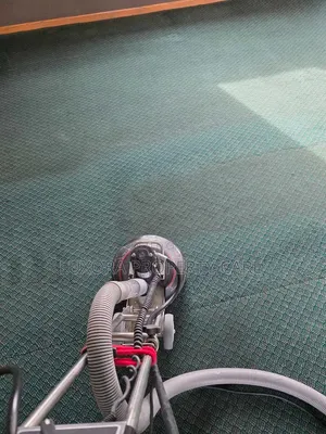 Deep Carpet Rug Extraction Cleaning