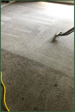 Deep Carpet Rug Extraction Cleaning